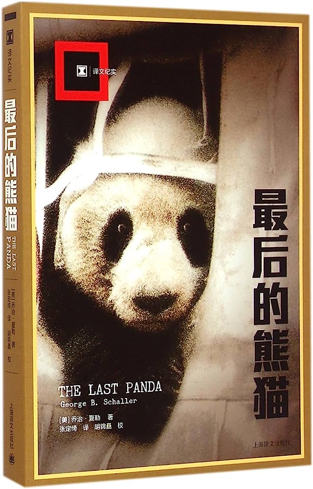 最后的熊猫