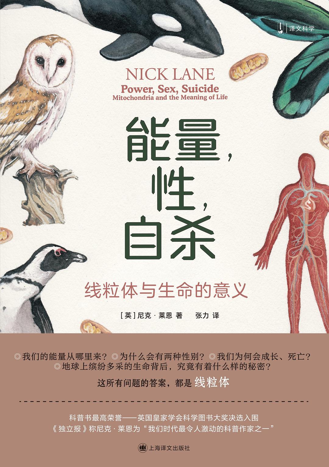 能量,性,自杀